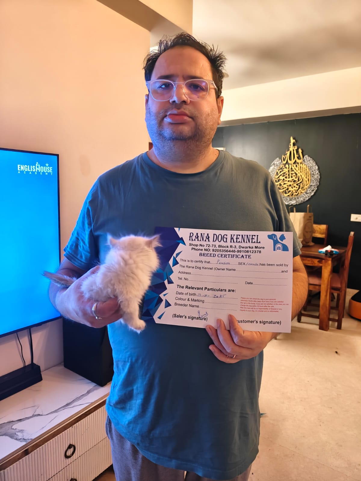 Arjun Cocker Spaniel Bangalore